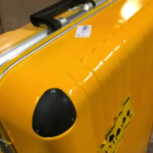 DELSEY ボディ割れ修理 修理後